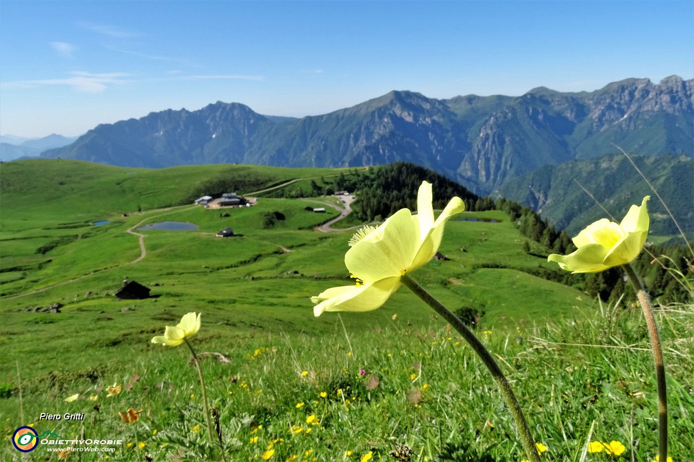 12 Vista sui Piani dell'Avaro con pulsatilla alpina sulfurea.JPG